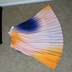 Pleated Skirt